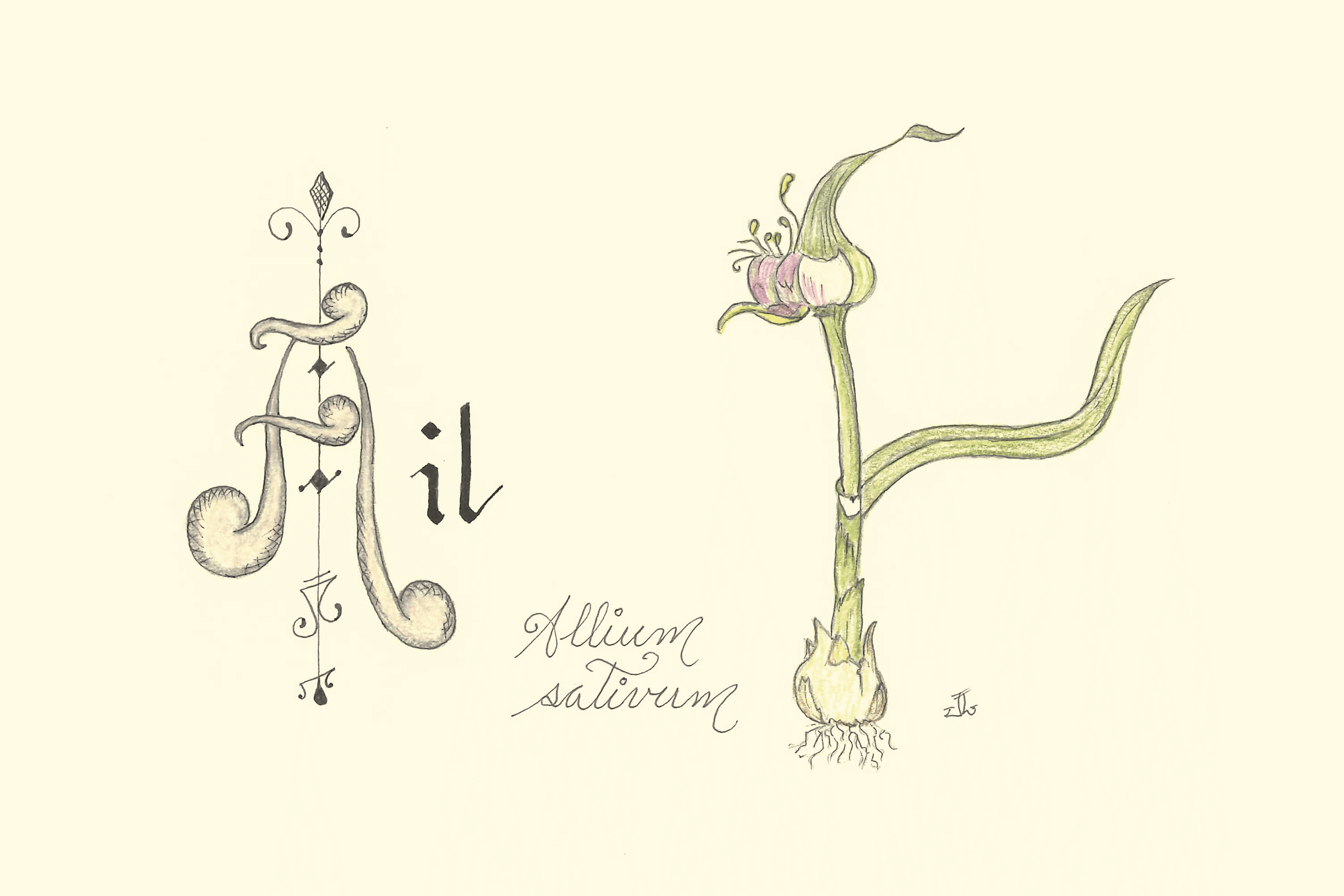 Ail