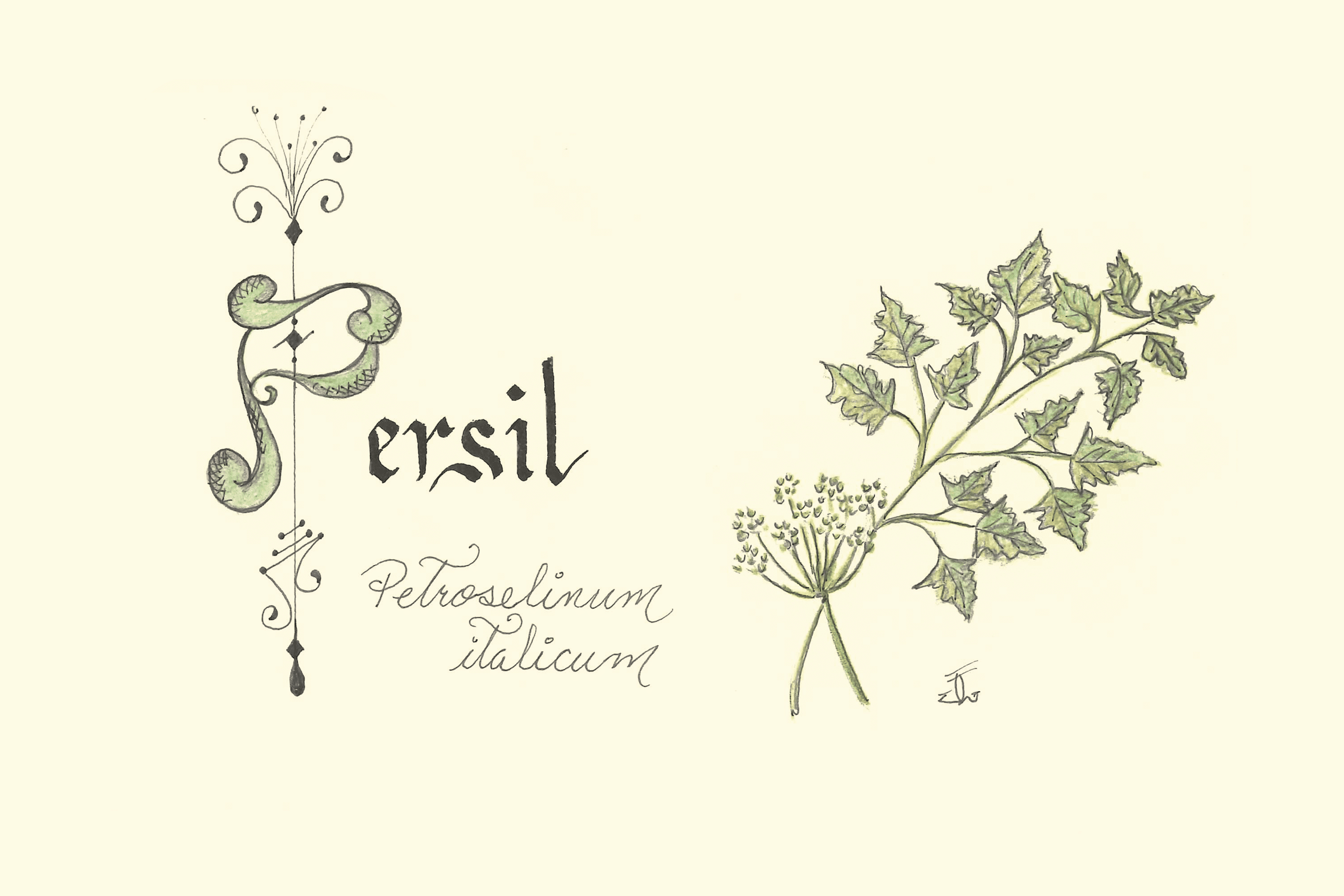 persil