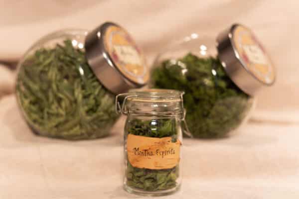 Épices et fines herbes